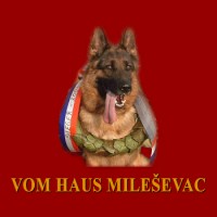 milesevac
