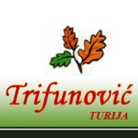 trifunovic