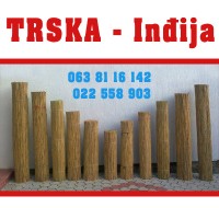 trska-indjija