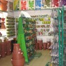 agropharm