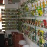 agropharm