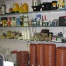 agropharm