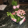 cvecara-ikebana-becej