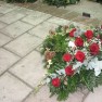 cvecara-ikebana-becej