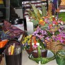 cvecara-ikebana-becej