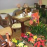 cvecara-ikebana-becej