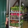 cvecara-ikebana-becej