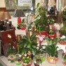 cvecara-ikebana-becej