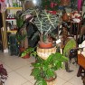 cvecara-ikebana-becej