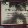 dinovgradjevina