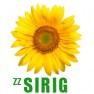 sirig-zz