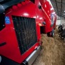 cow-logic-international