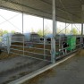 cow-logic-international