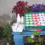 alpen-milch