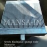 Mansa-In