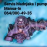 Mansa-In