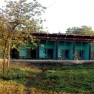 pegonni