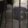 metal-guma