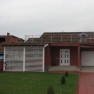 milenkovic-prohrom