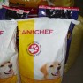 pet-plus