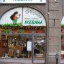 cvecara-ikebana-becej