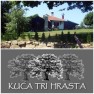 trihrasta