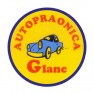glanc-autoperionica