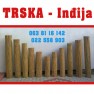 trska-indjija